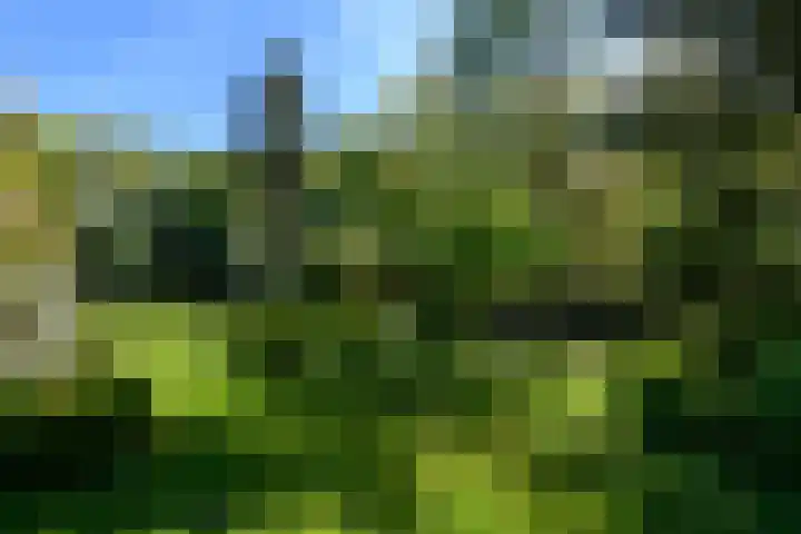 Meentheweg 18 Noordwolde thumbnail 55