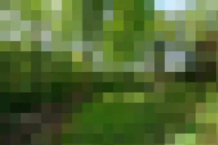 Meentheweg 18 Noordwolde thumbnail 56