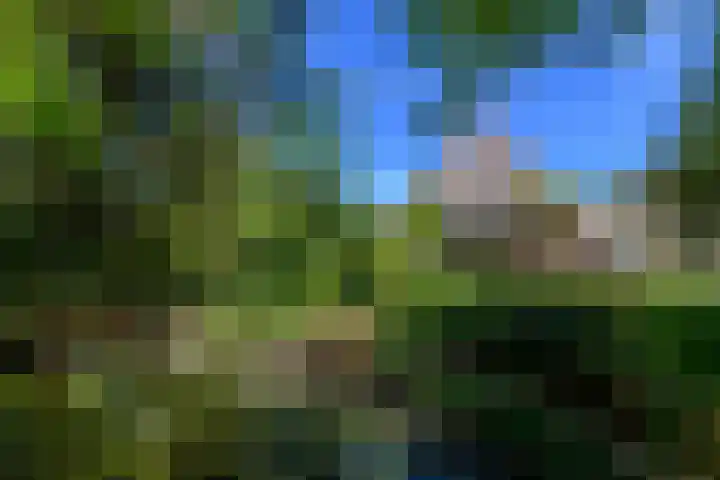 Meentheweg 18 Noordwolde thumbnail 57