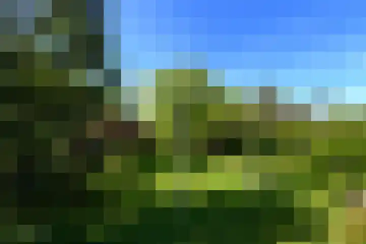 Meentheweg 18 Noordwolde thumbnail 59