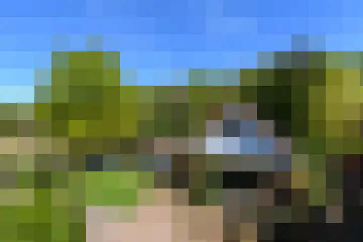 Meentheweg 18 Noordwolde thumbnail 60