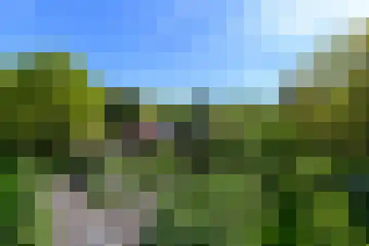 Meentheweg 18 Noordwolde thumbnail 63