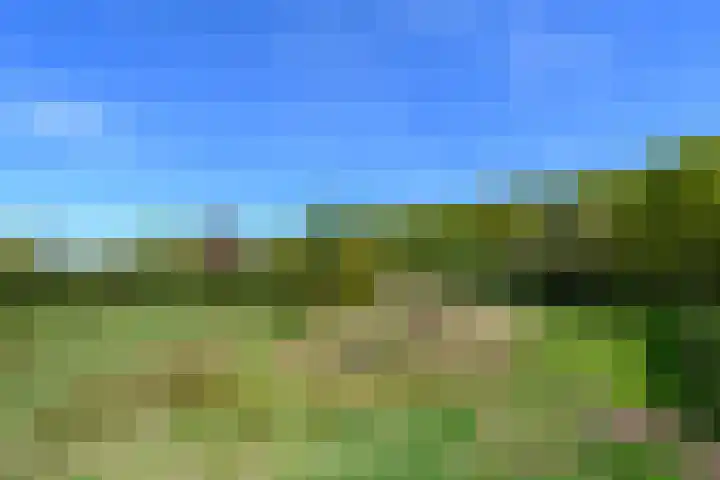 Meentheweg 18 Noordwolde thumbnail 64