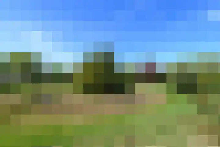 Meentheweg 18 Noordwolde thumbnail 67