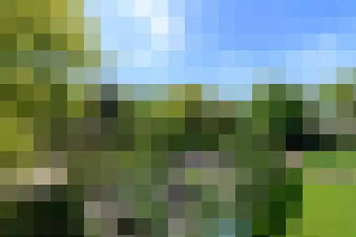 Meentheweg 18 Noordwolde thumbnail 68