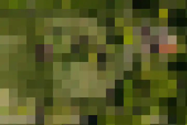 Meentheweg 18 Noordwolde thumbnail 71