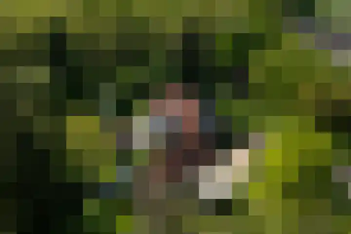 Meentheweg 18 Noordwolde thumbnail 72