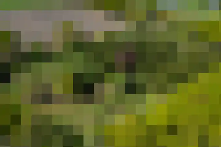 Meentheweg 18 Noordwolde thumbnail 73