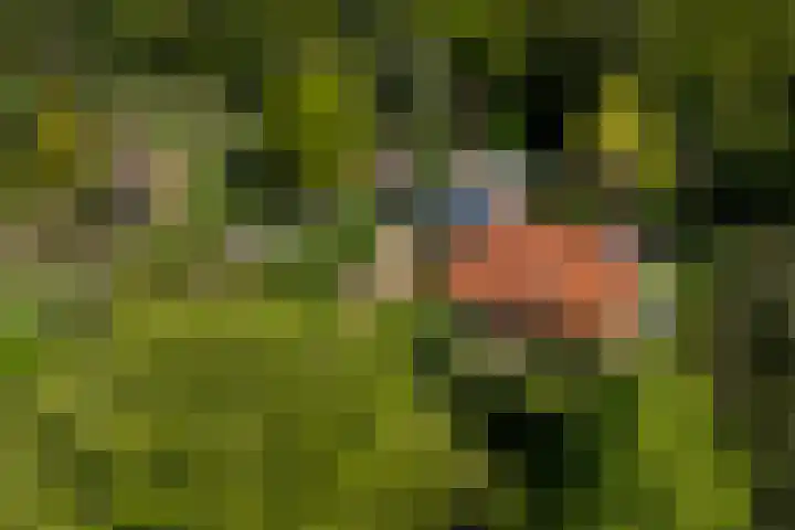 Meentheweg 18 Noordwolde thumbnail 77
