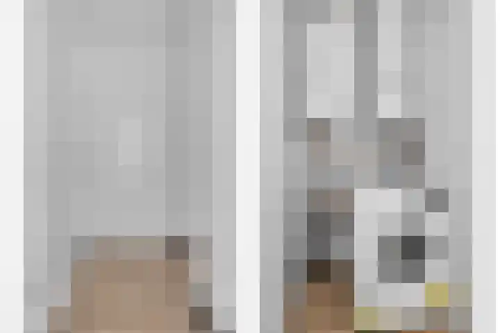 Meenthoek 9 3 Lelystad thumbnail 10