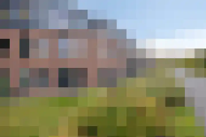 Meenthoek 9 3 Lelystad thumbnail 20
