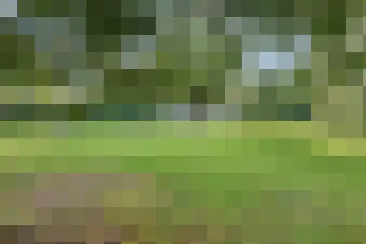 Meenthoek 9 3 Lelystad thumbnail 21