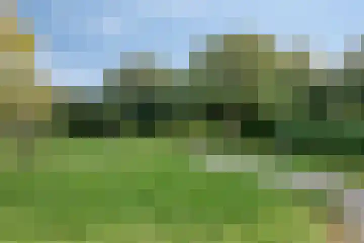 Meenthoek 9 3 Lelystad thumbnail 22