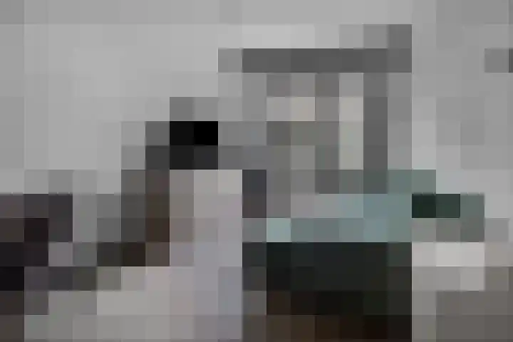 Meenthoek 9 3 Lelystad thumbnail 4