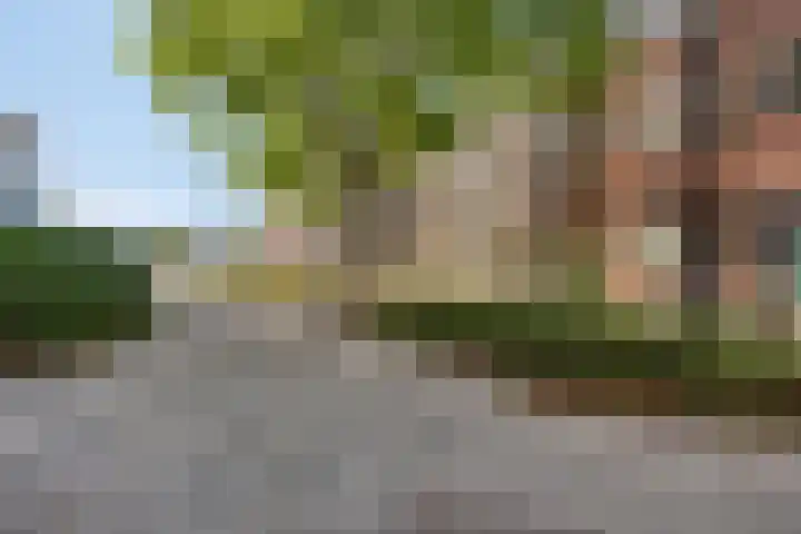 Meenthoek 9 3 Lelystad thumbnail 5