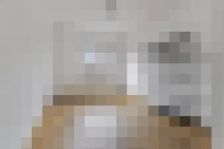 Meenthof 20 C Rotterdam thumbnail 11