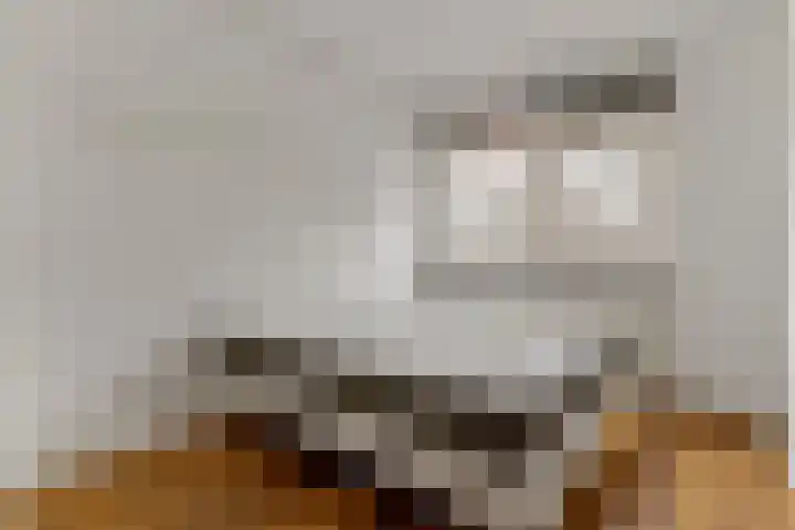 Meenthof 20 C Rotterdam thumbnail 13