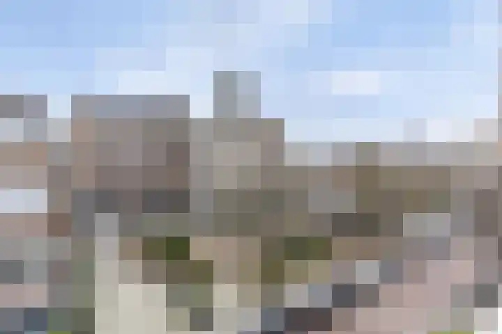 Meenthof 20 C Rotterdam thumbnail 4