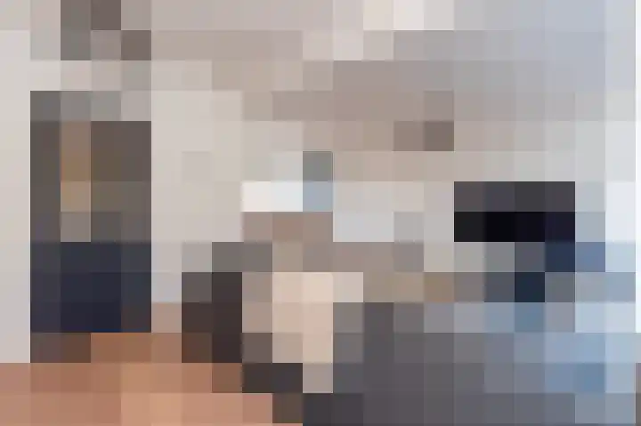Meenthof 27 Kortenhoef thumbnail 6