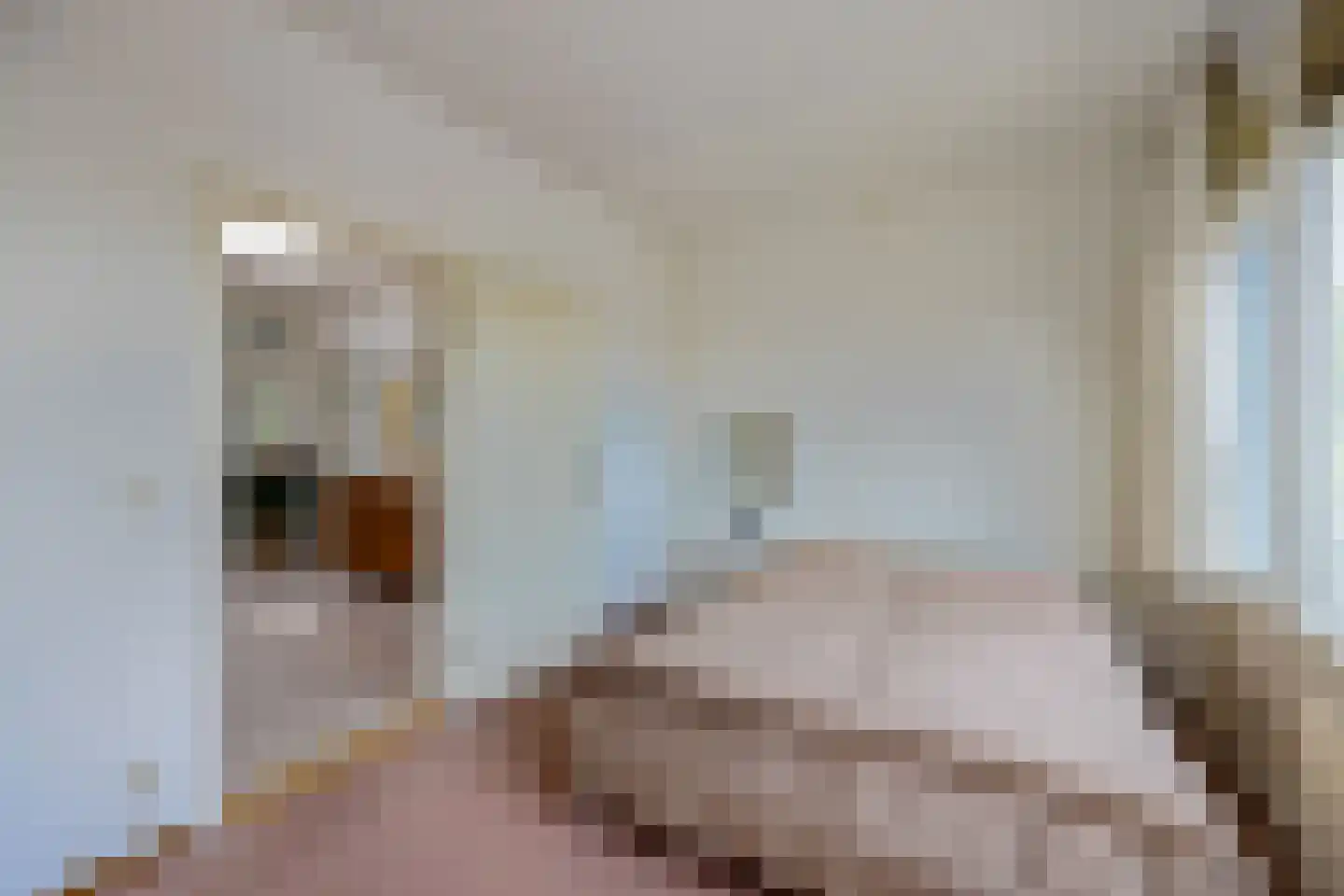 Meenthof 5 Kortenhoef thumbnail 17