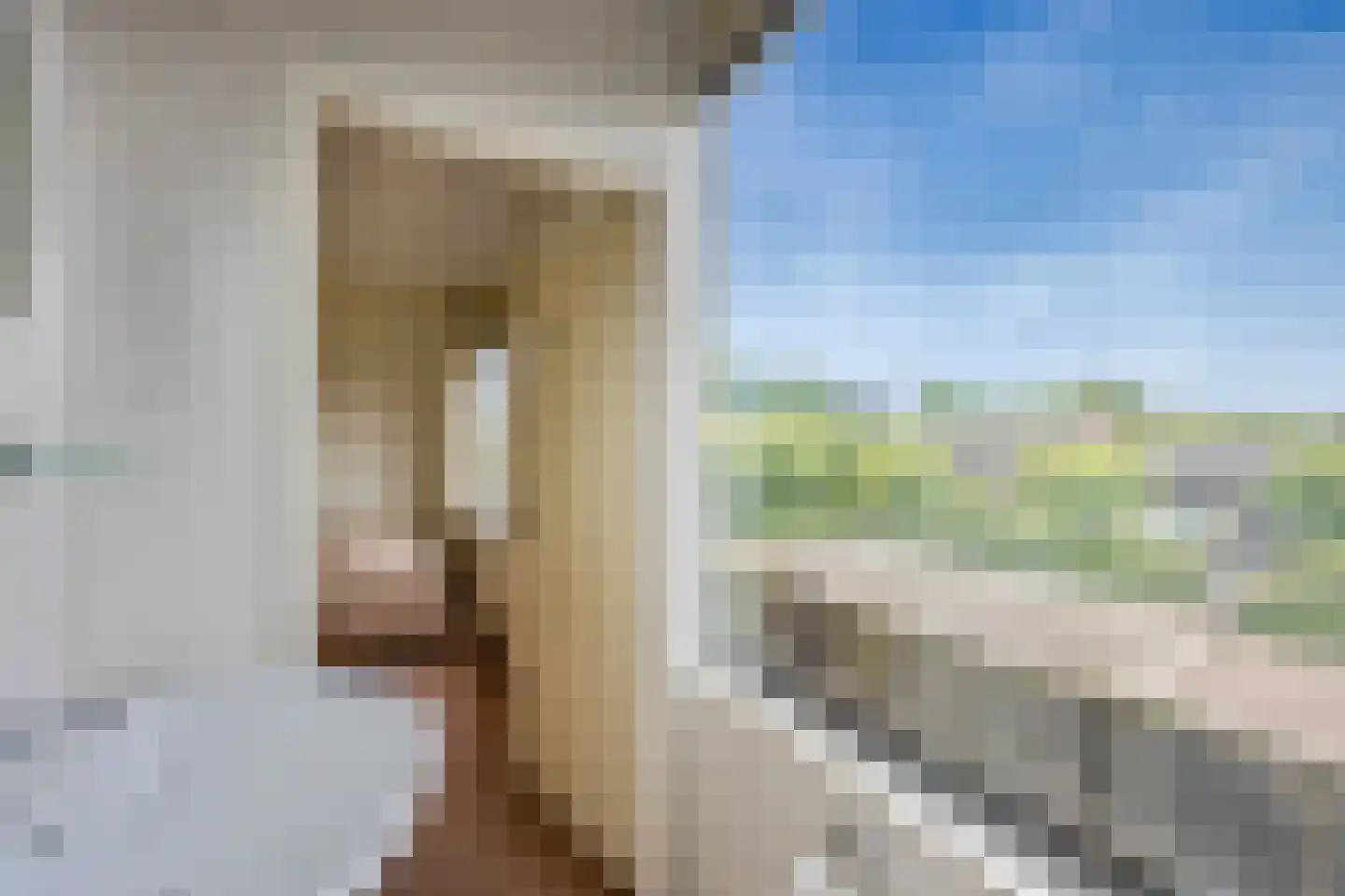 Meenthof 5 Kortenhoef thumbnail 20