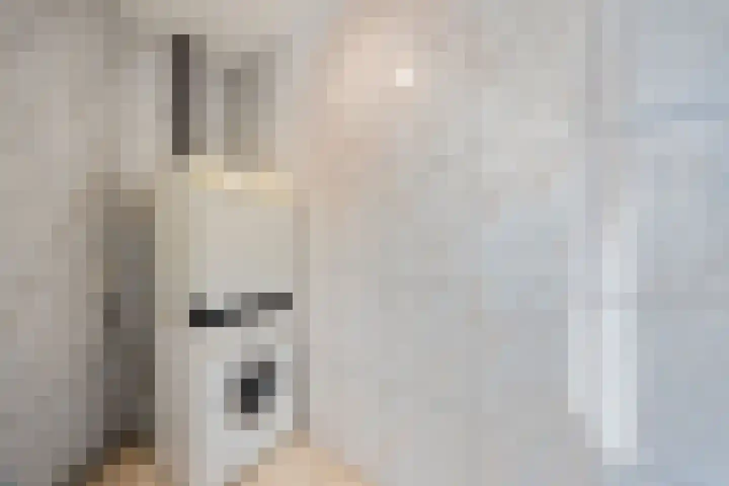 Meenthof 5 Kortenhoef thumbnail 28