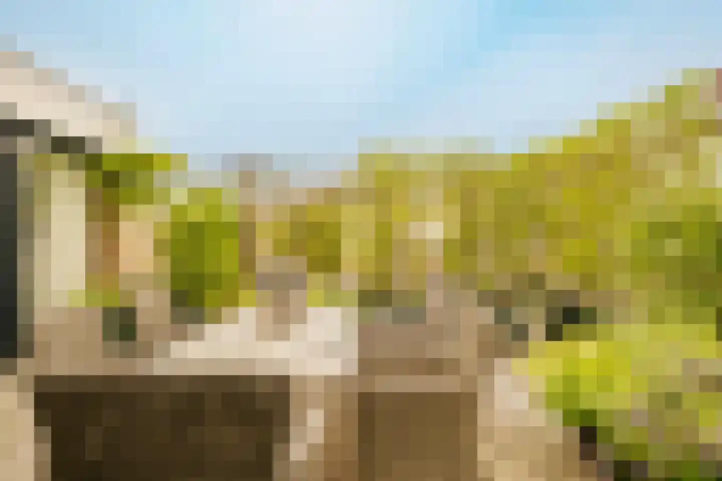 Meenthof 5 Kortenhoef thumbnail 30