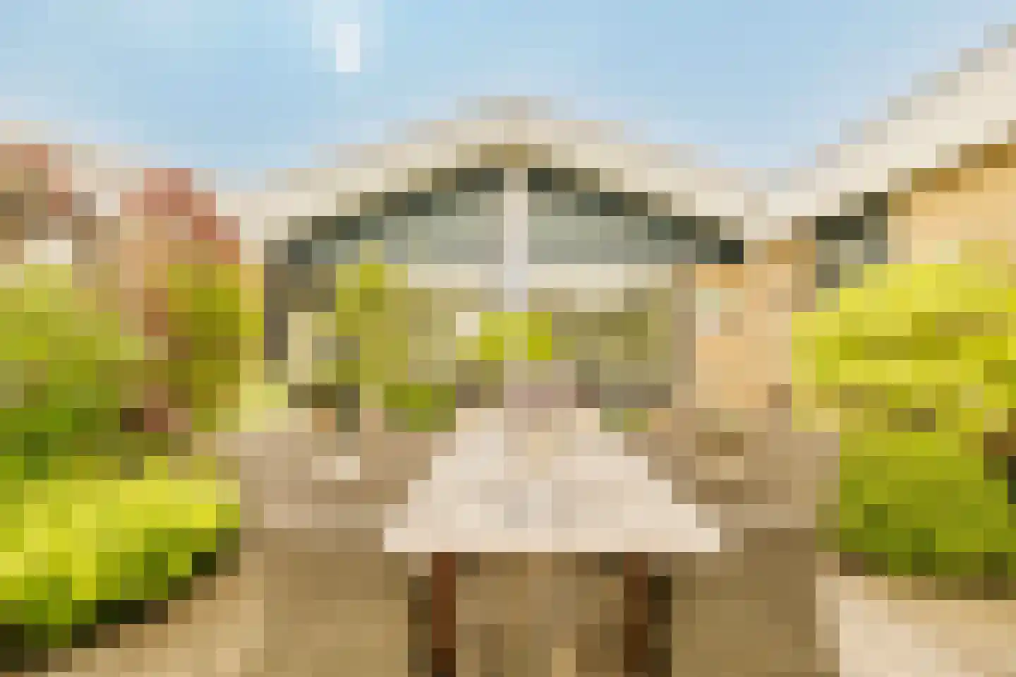 Meenthof 5 Kortenhoef thumbnail 31