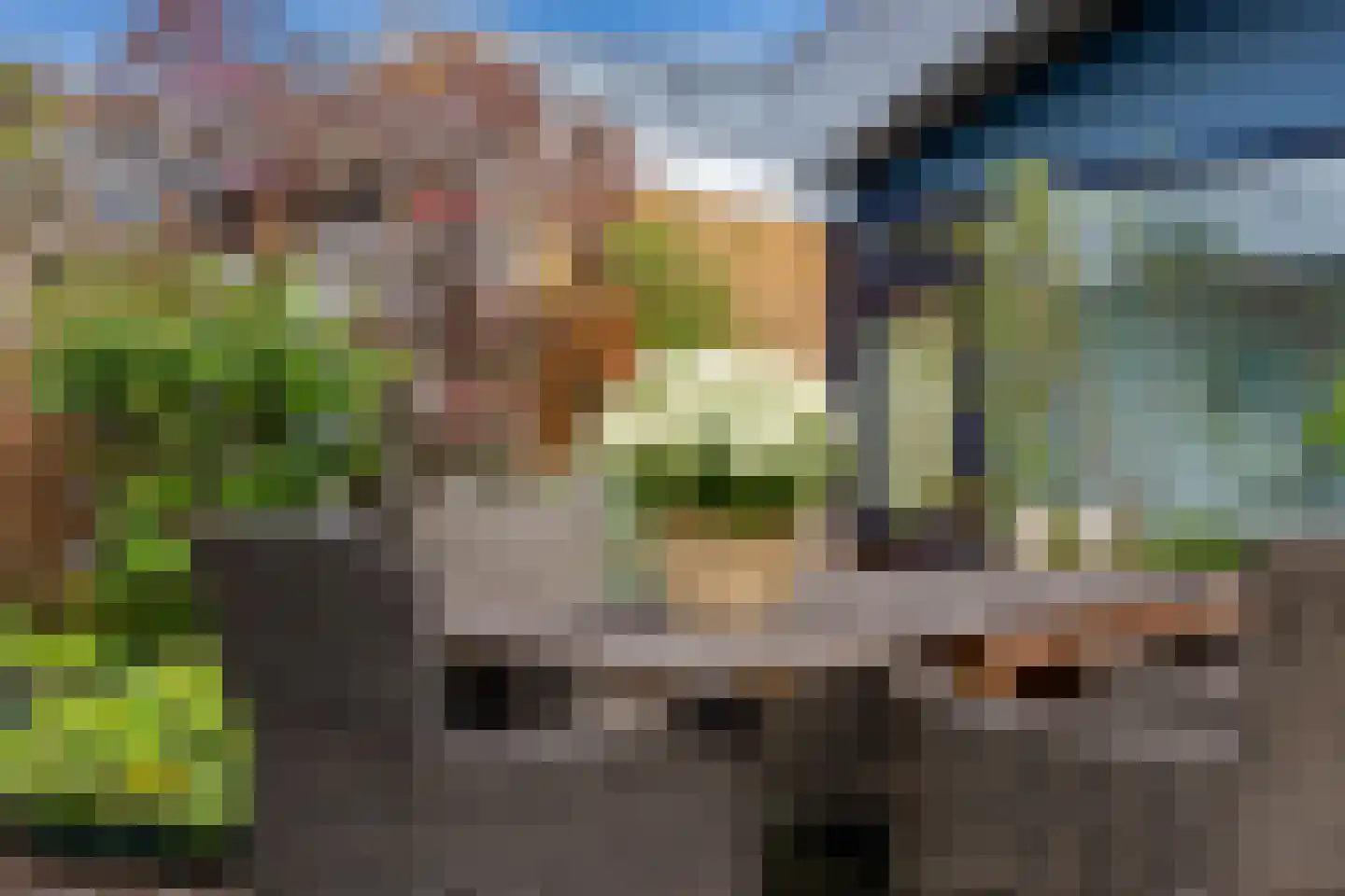 Meenthof 5 Kortenhoef thumbnail 34