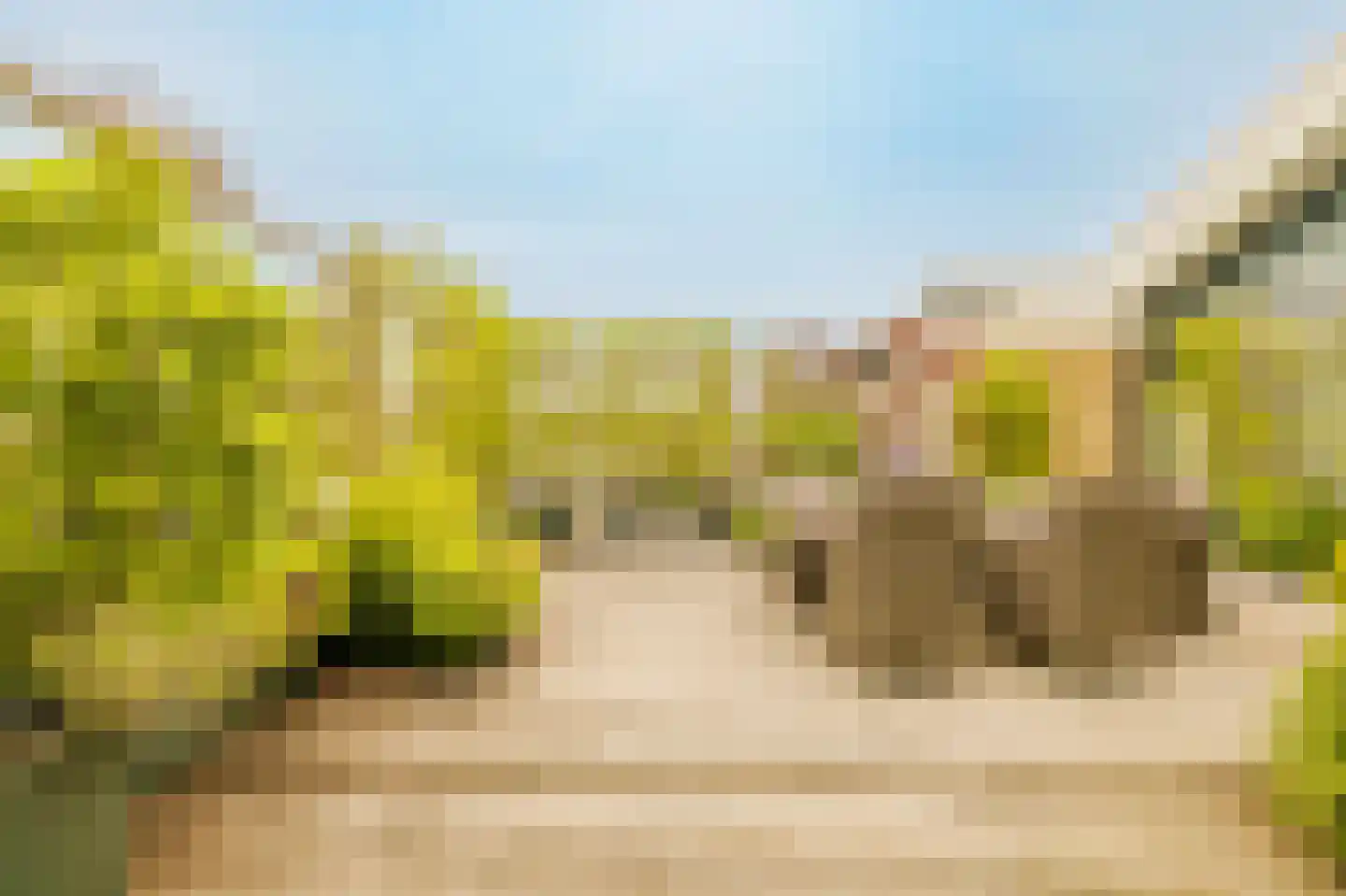 Meenthof 5 Kortenhoef thumbnail 8