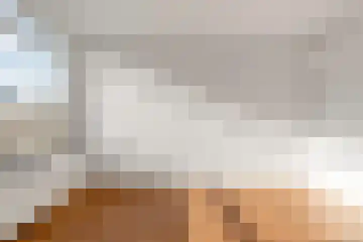 Meenthof 8 D Rotterdam thumbnail 4