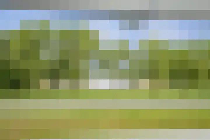 Meentsestraat 118 M Giesbeek thumbnail 37