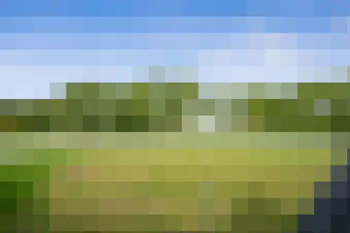 Meentsestraat 118 M Giesbeek thumbnail 38