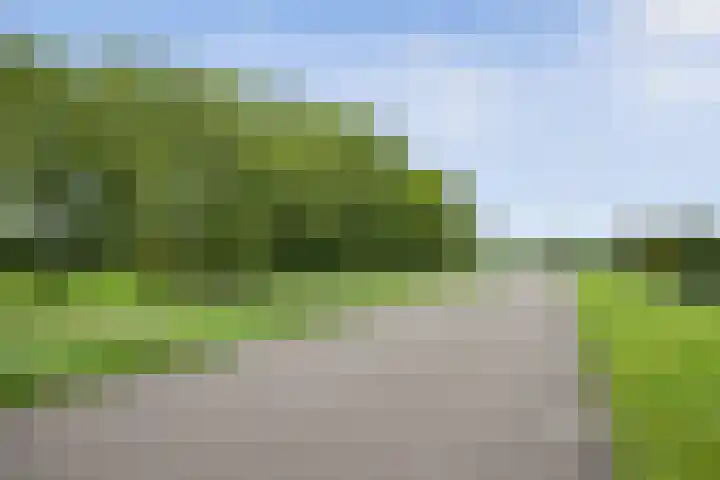 Meentsestraat 118 M Giesbeek thumbnail 40