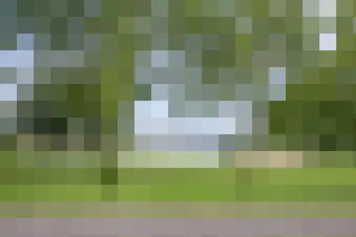 Meentsestraat 118 M Giesbeek thumbnail 41