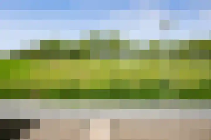 Meentsestraat 118 M Giesbeek thumbnail 6