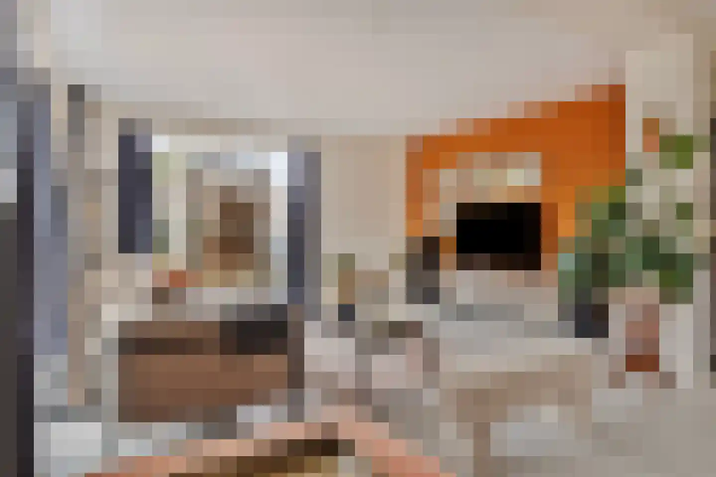 Meentsestraat 49 Giesbeek thumbnail 11