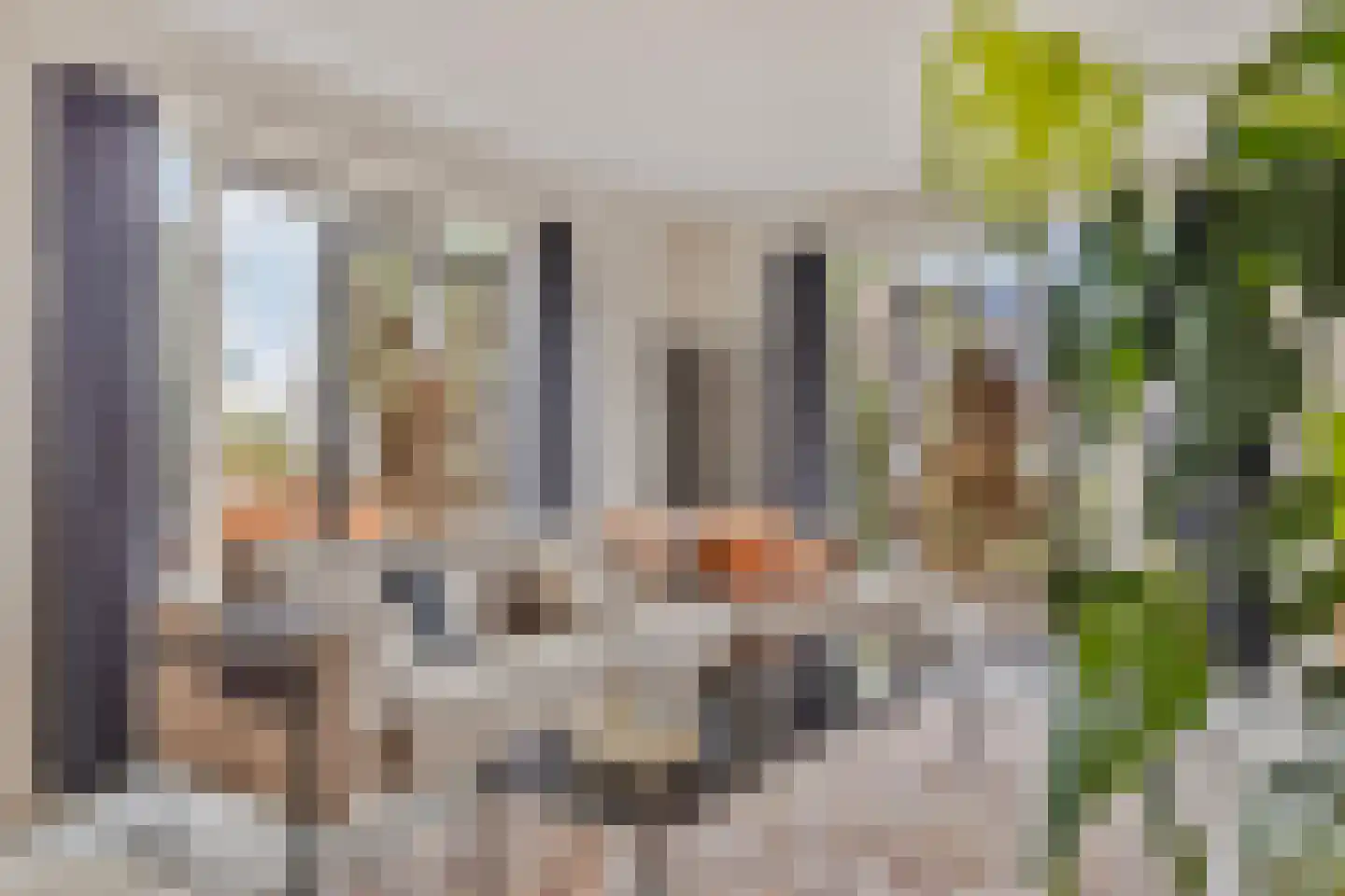 Meentsestraat 49 Giesbeek thumbnail 12