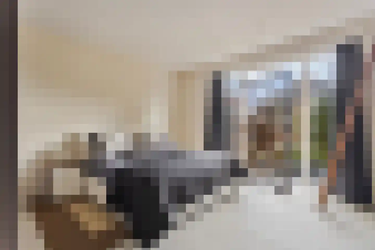 Meentsestraat 49 Giesbeek thumbnail 17