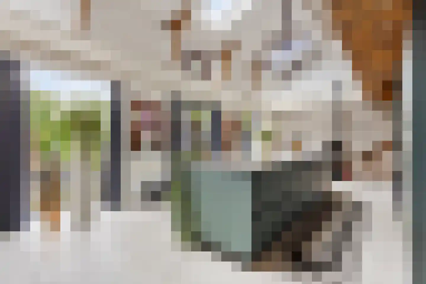Meentsestraat 49 Giesbeek thumbnail 19