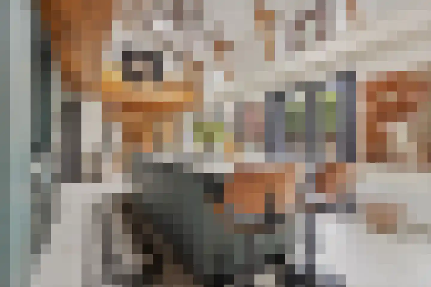 Meentsestraat 49 Giesbeek thumbnail 20