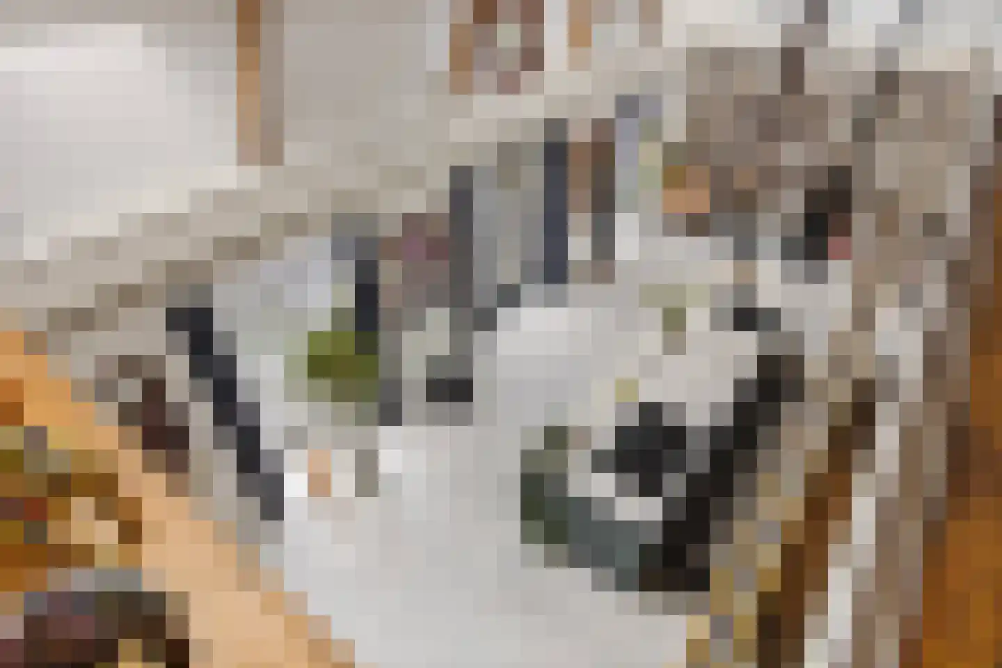 Meentsestraat 49 Giesbeek thumbnail 21