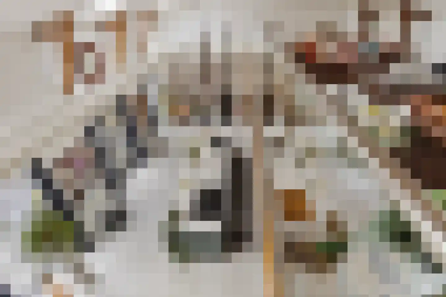 Meentsestraat 49 Giesbeek thumbnail 22