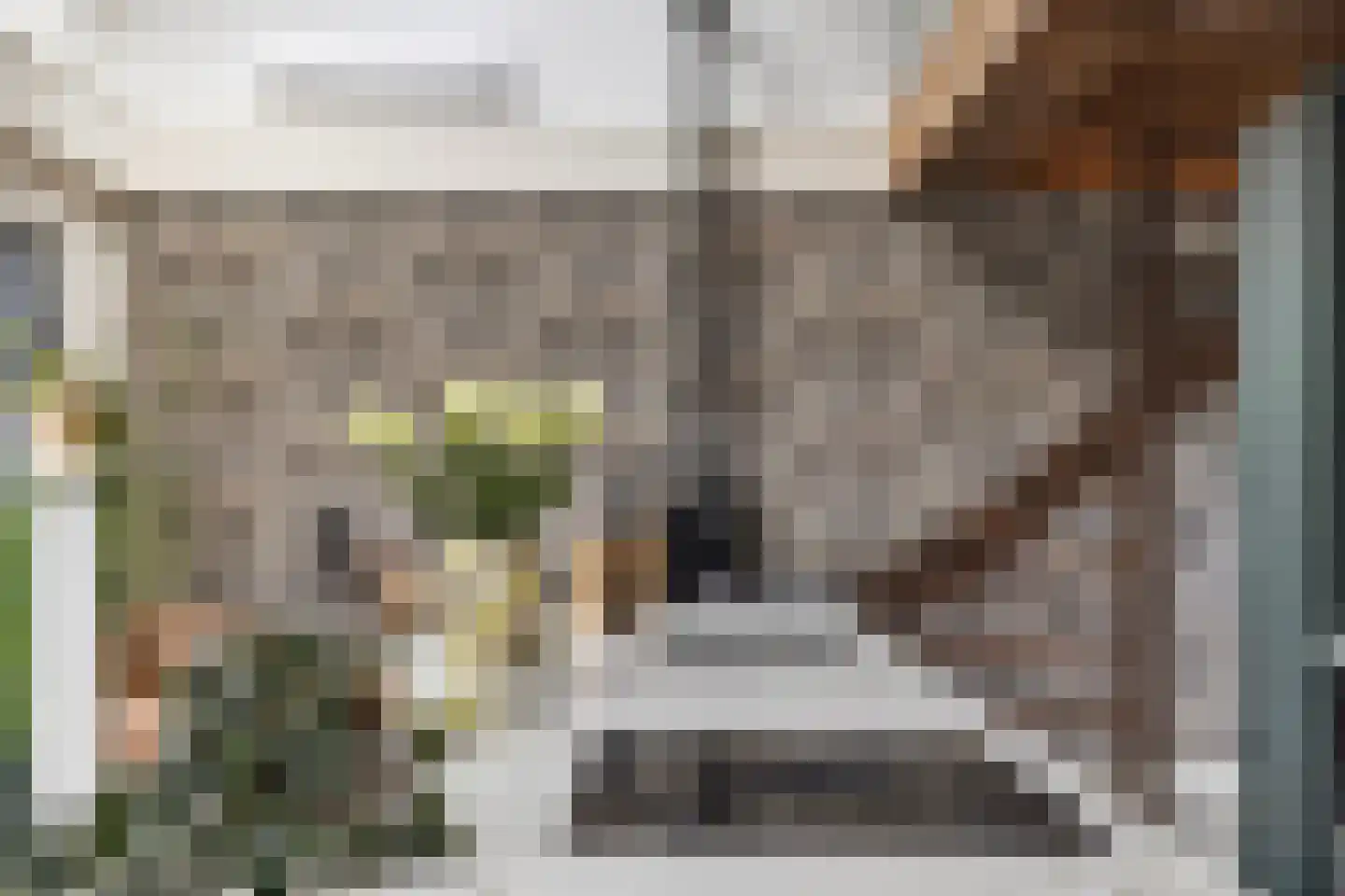 Meentsestraat 49 Giesbeek thumbnail 24