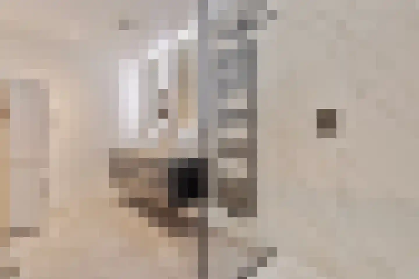 Meentsestraat 49 Giesbeek thumbnail 30