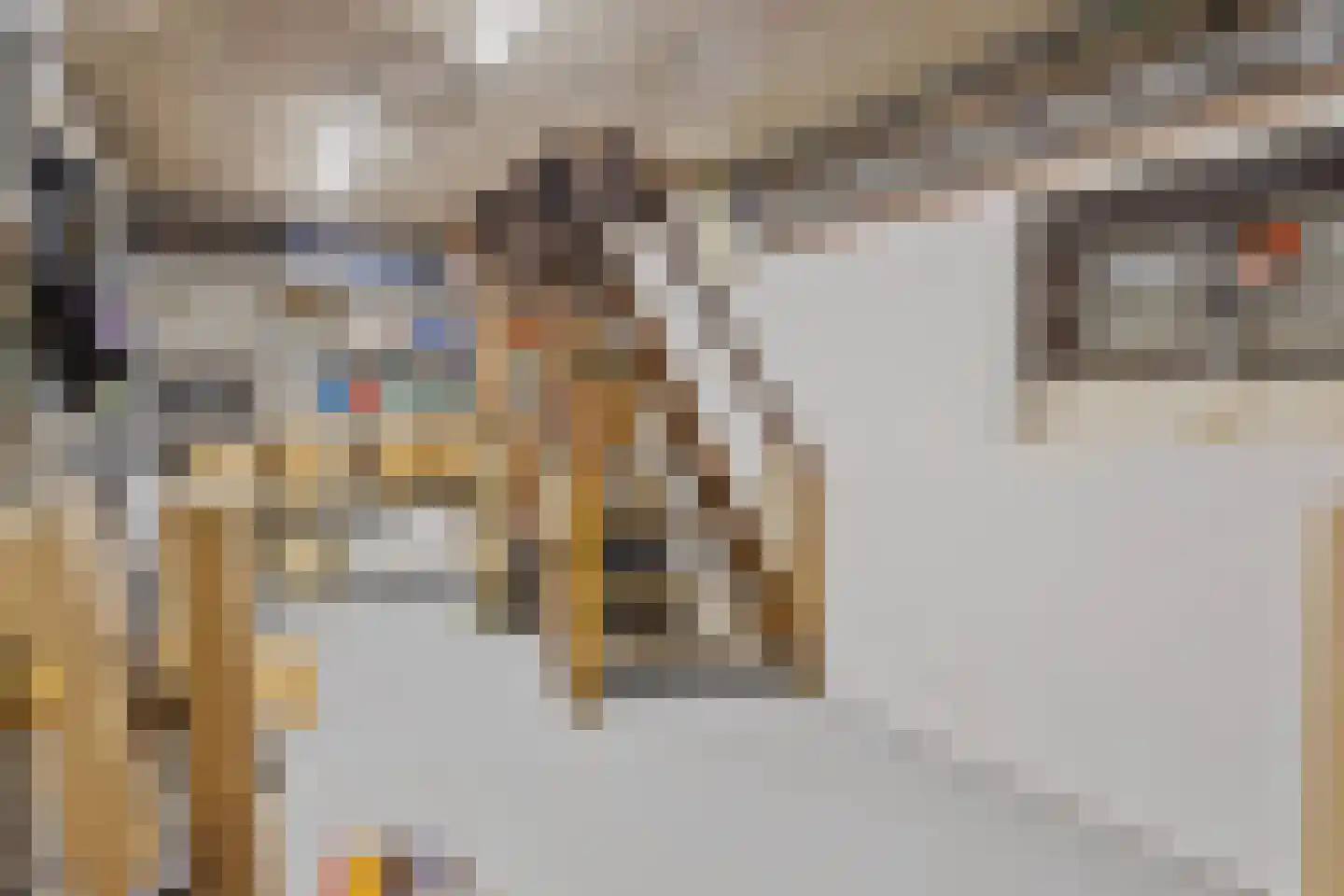 Meentsestraat 49 Giesbeek thumbnail 33