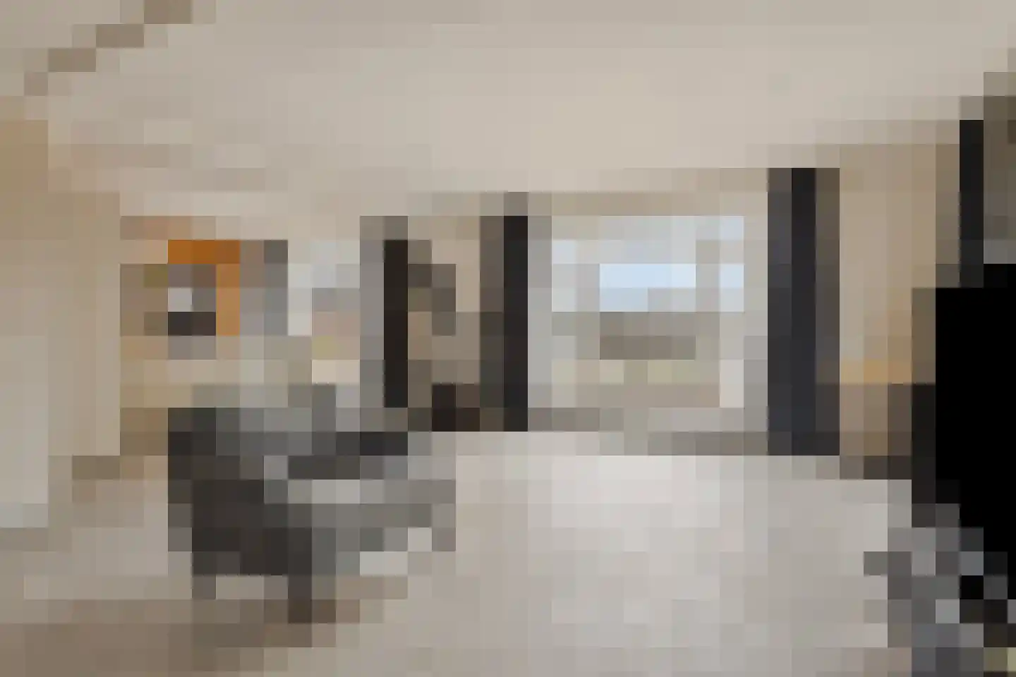 Meentsestraat 49 Giesbeek thumbnail 36