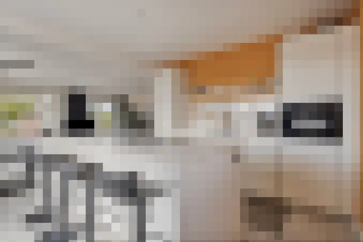 Meentsestraat 49 Giesbeek thumbnail 38