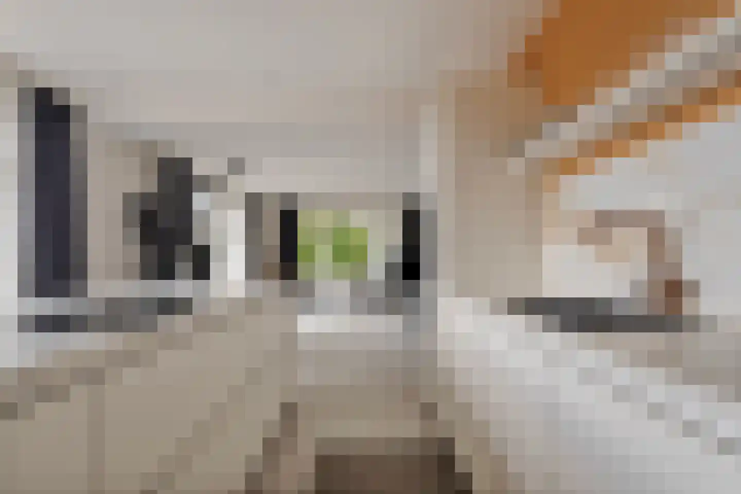 Meentsestraat 49 Giesbeek thumbnail 39