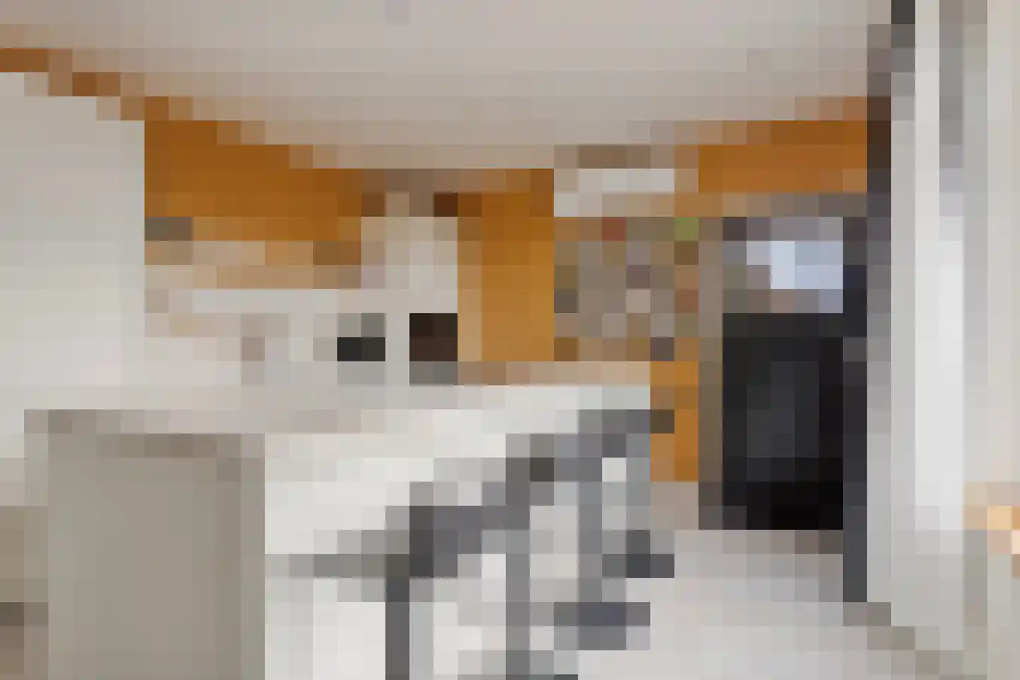 Meentsestraat 49 Giesbeek thumbnail 40